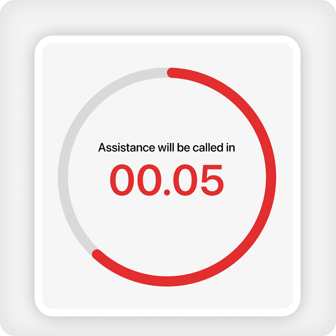 image of security alert countdown timer on the roam app